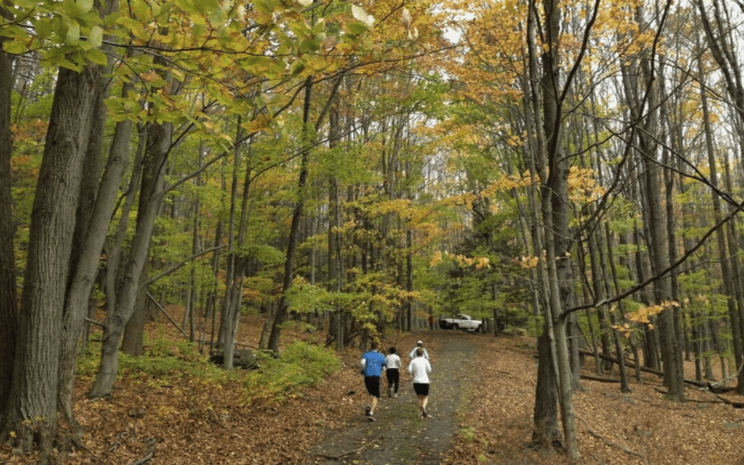 NBT Bank renews support for Lacawac Sanctuary